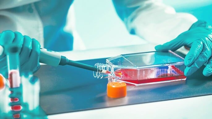 CO2-Inkubatoren für die Herstellung von Tissue Engineered Products (TEP)