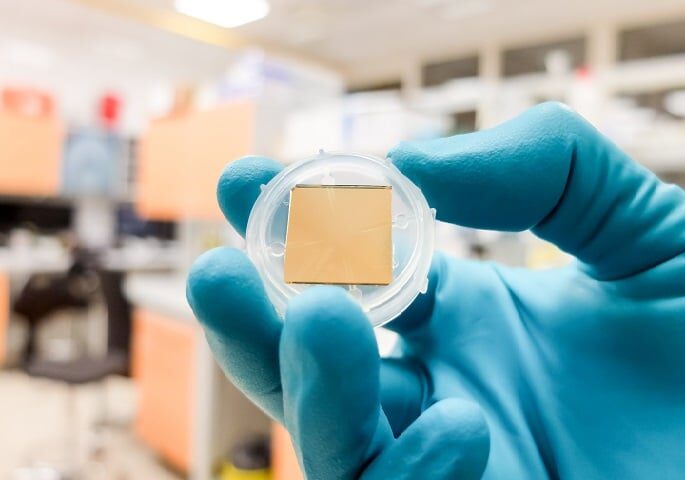 CO2-Inkubatoren zur Entwicklung von Biosensoren